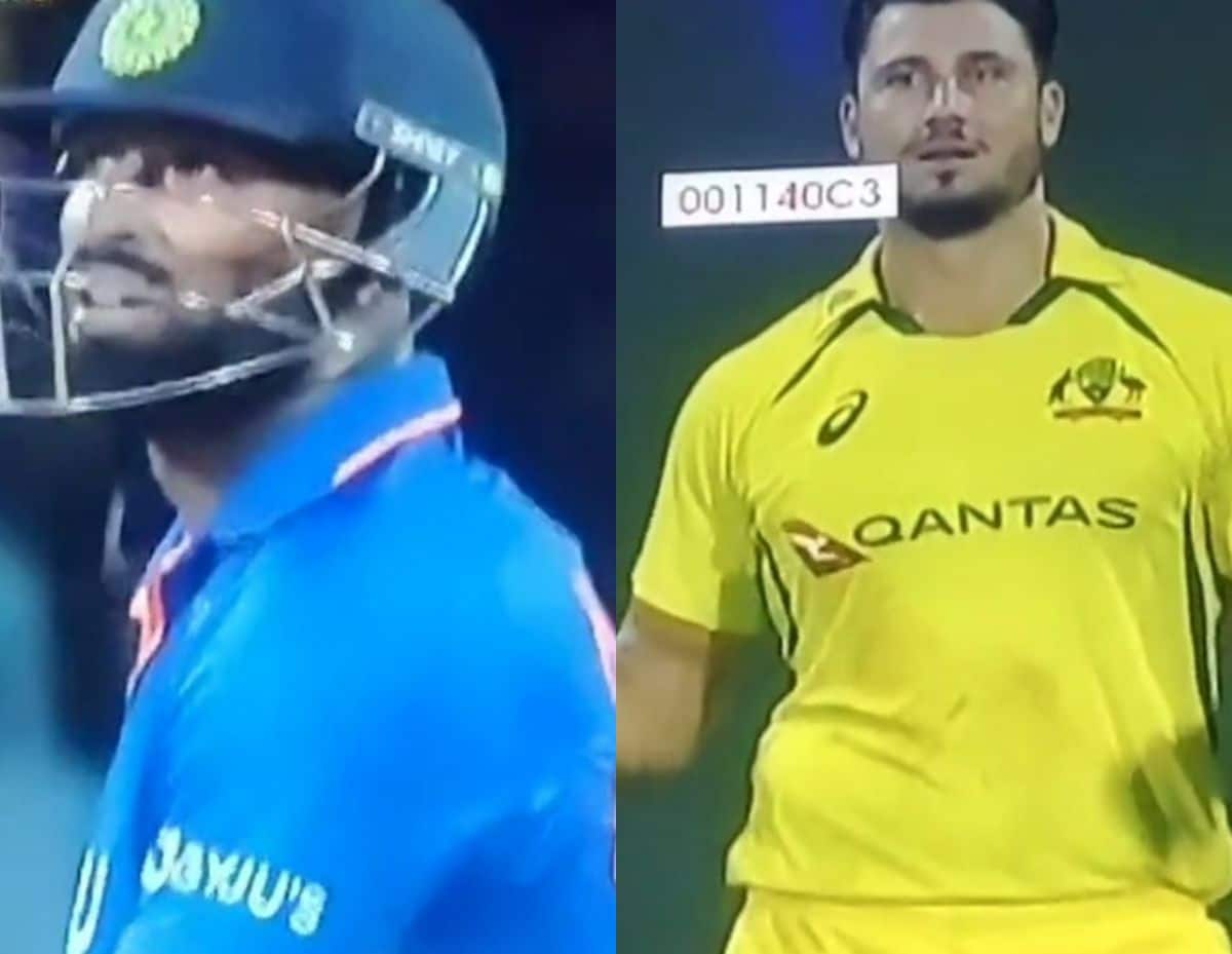 IND vs AUS: Play Stopped Due To Eagle Attack In 3rd ODI | WATCH VIDEO